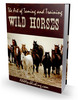 Thumbnail The Art of Taming and Training Wild Horses Thumbnail The Art of Taming and Training Wild Horses