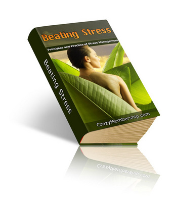 Product picture Beating Stress (PLR)