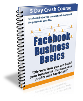 Product picture Facebook Business Basic (PLR)