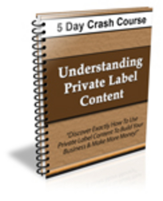 Product picture Understanding Private Label RIghts Content (PLR)