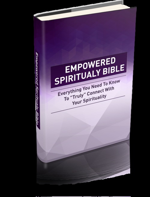 Product picture Empowered Spirituality Bible (mrr)